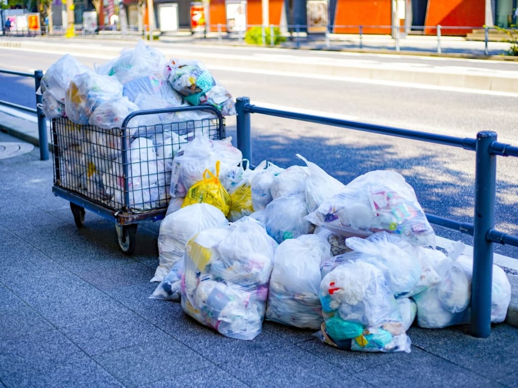 朝のゴミ出しの様子