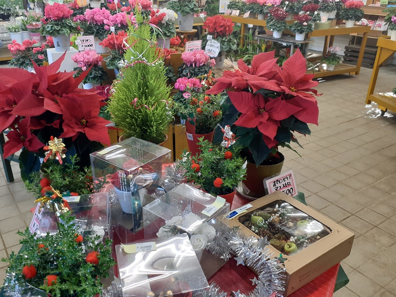 とちはなちゃんのお花屋さん店内