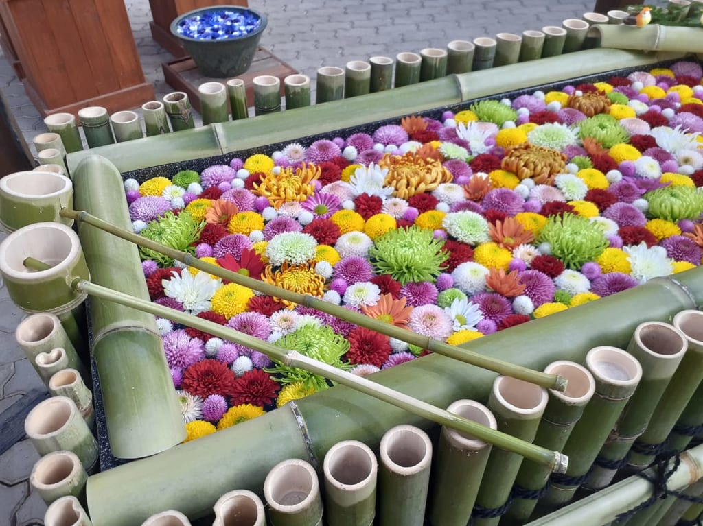 とちぎ花センター花手水