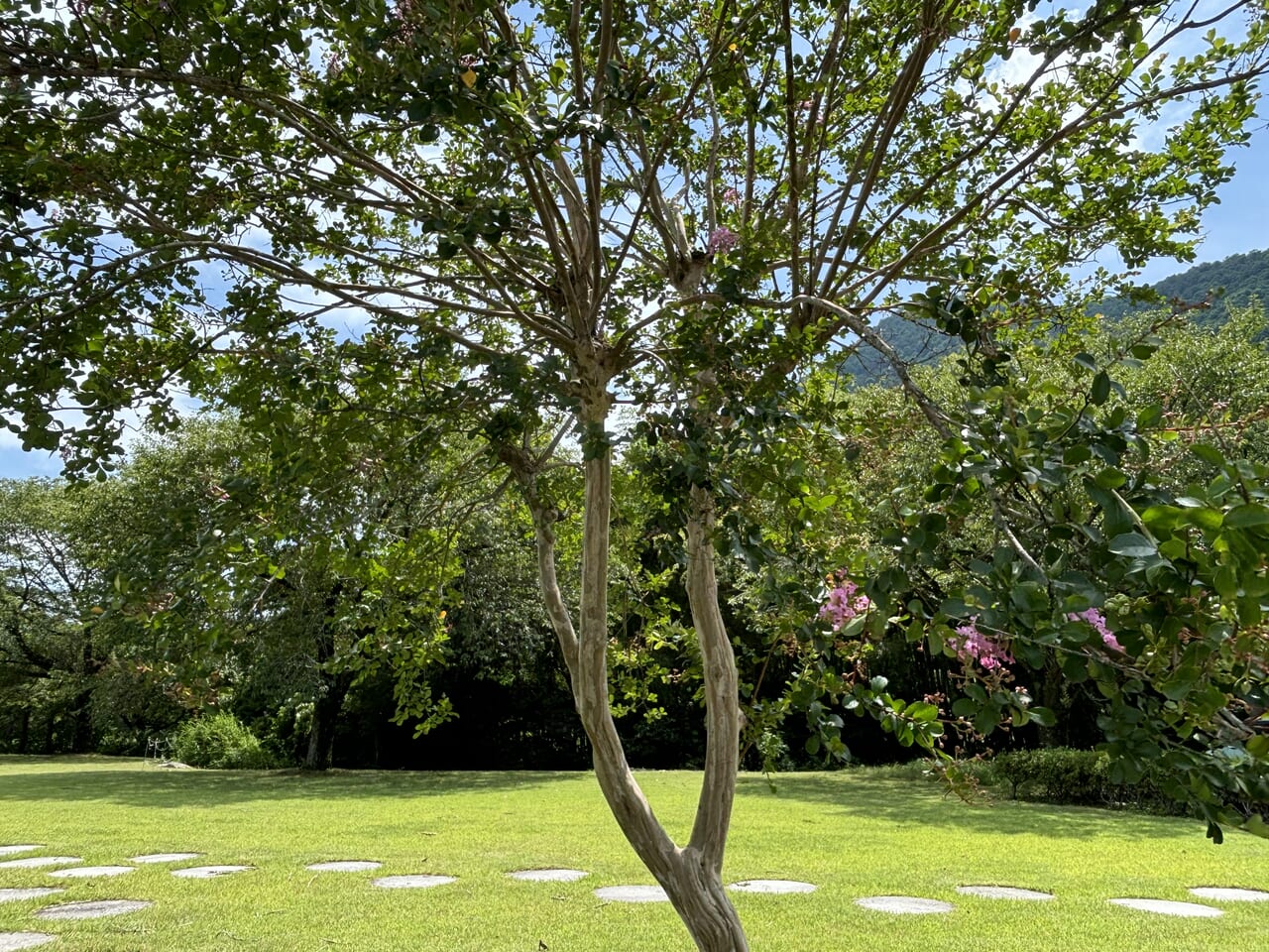 星野河川公園