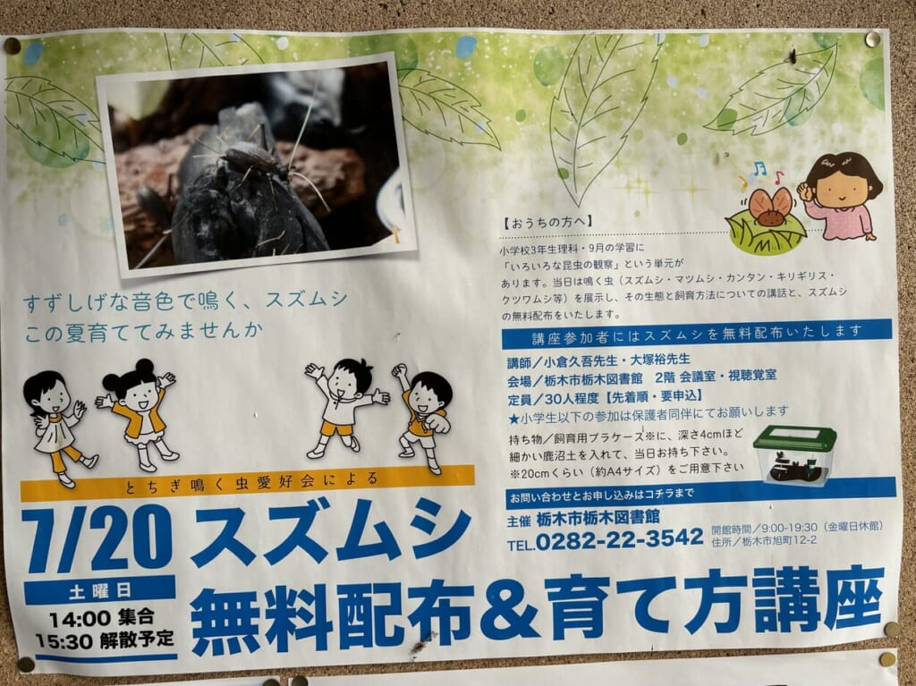 スズムシ無料配布＆育て方講座チラシ