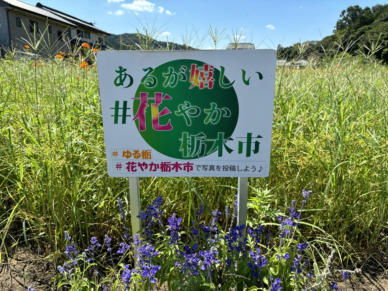 あるが嬉しい#花やか栃木市看板